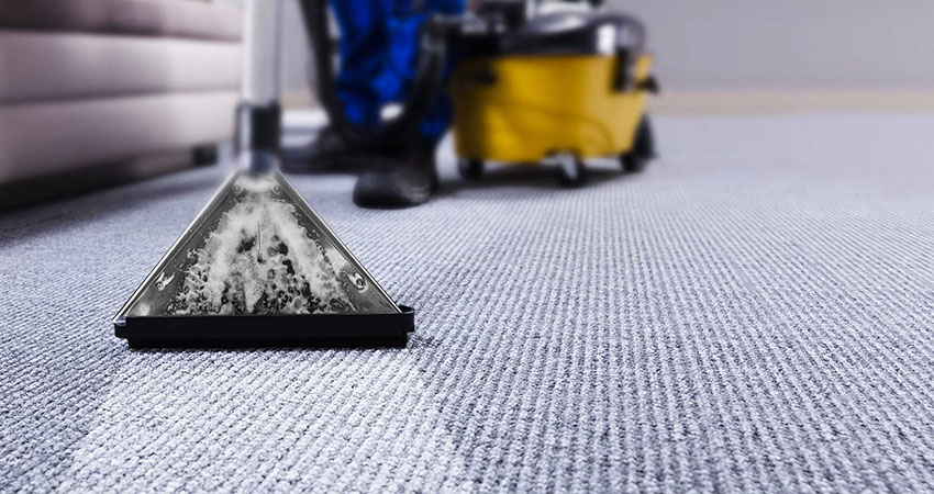 professional carpet cleaning