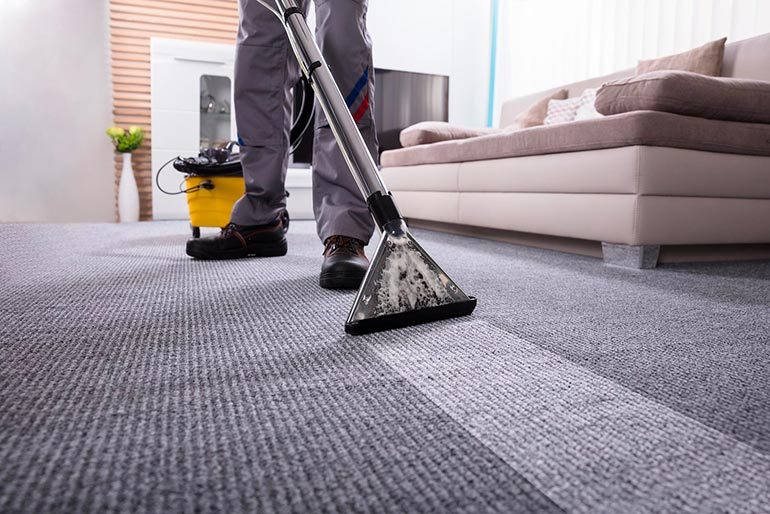 the best carpet cleaning company on vancouver